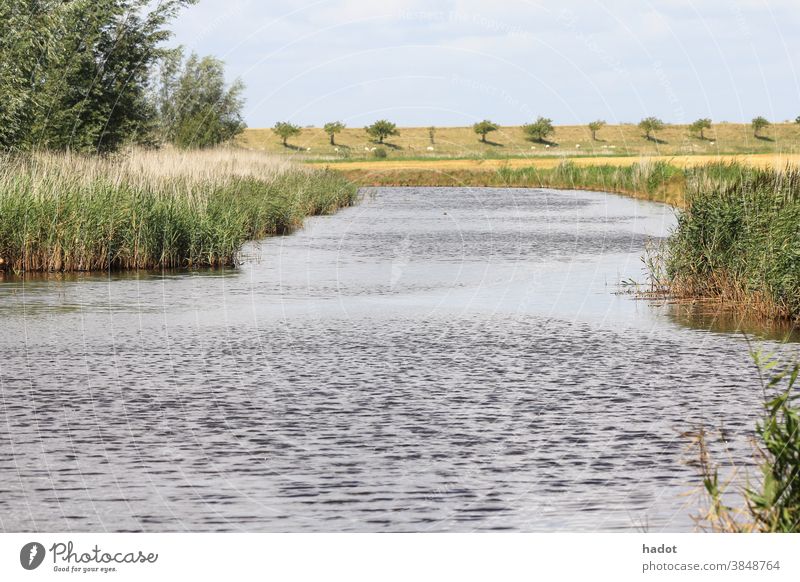 Wasserkanal hinter dem Deich Kanal Wolken Abfluss Land Torf Fluss seichtes Wasser strömen Wasserlauf Wasserstraße breit