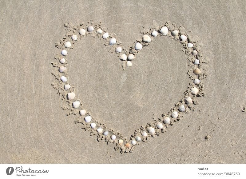 Herz Strand Strandkämmung Liebe Sand Sandstrand MEER Formen Panzer Muscheln Ufer Symbol