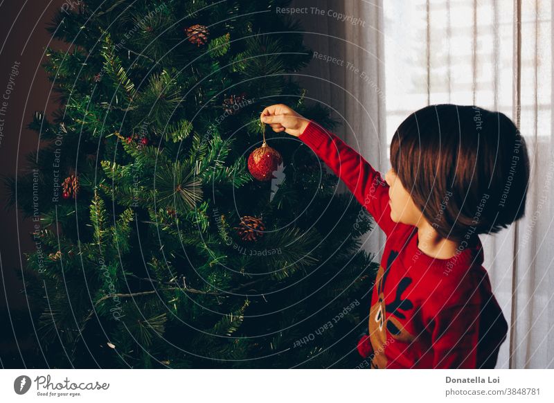 Kind schmückt den Baum von hinten gesehen 4-5 Jahre Weihnachten Weihnachtsbaum Kindheit Gardine Dekoration & Verzierung Festlichkeit grün Hand Glück heimwärts