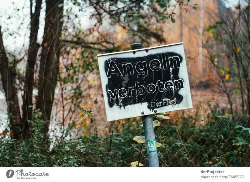 "Angeln verboten – der Fisch"-Schild an einem See in Brandenburg Landschaft Ausflug Natur Umwelt wandern Sightseeing Pflanze Herbst Schönes Wetter Baum Wald