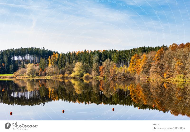 Herbstblätter spiegeln sich im Wasser des Stausees Windach in Bayern Herbstfarbe Herbstwald Herbstlaub farbenfroh Wald Landschaft Natur reflektieren