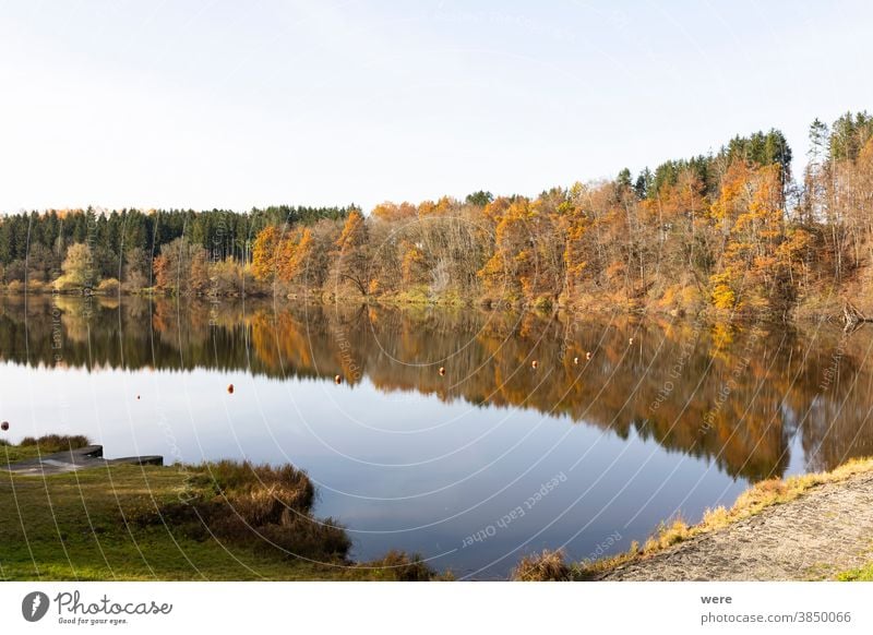 Herbstblätter spiegeln sich im Wasser des Stausees Windach in Bayern Herbstfarbe Herbstwald Herbstlaub farbenfroh Wald Landschaft Natur reflektieren