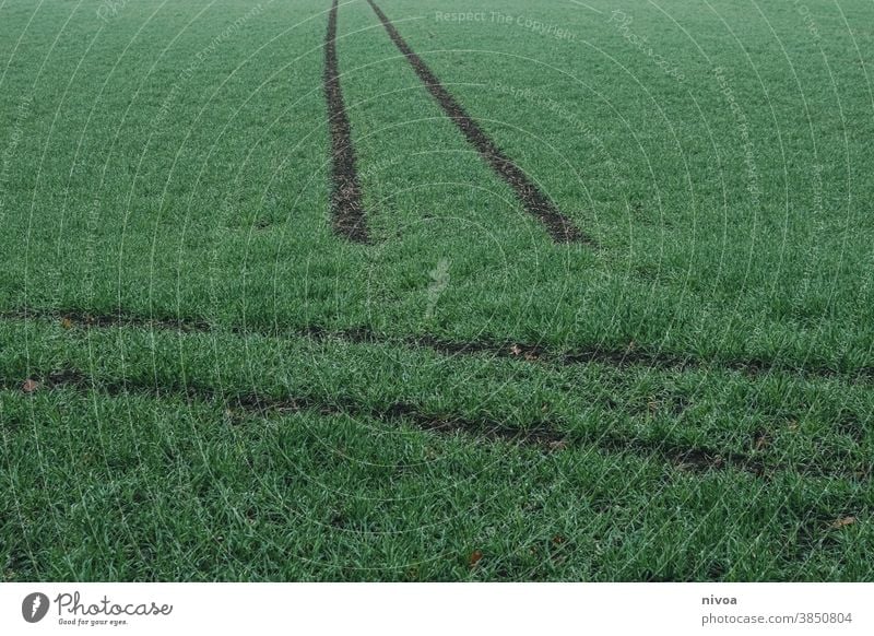 Reifenspuren im Gras Auto Traktor Wiese Außenaufnahme Farbfoto Spuren Menschenleer Natur Erde Fahrzeug Landwirtschaft Feld Reifenprofil Kontrast Profil dreckig