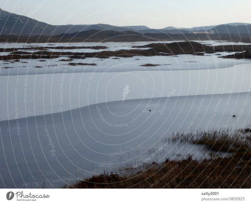 still ruht der See... Winter Teich Dünen Berge gefroren Eis vereist Frost zugefroren Strukturen & Formen Menschenleer kalt Natur Dünenlandschaft Sylt Inseln