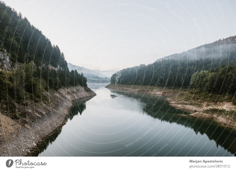 Nebliger Frühmorgen auf dem Bergsee Abenteuer Herbst schön Schönheit Wolken Landkreis Morgendämmerung entdecken früh Immergrün erkunden Nebel neblig Wald Dunst