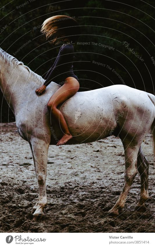 Junges schönes Mädchen mit weißem Pferd im Wald. Reiterin im Boho-Stil. Naturszene im Sommer. Tier attraktiv Schönheit Kaukasier Landschaft niedlich Kleid