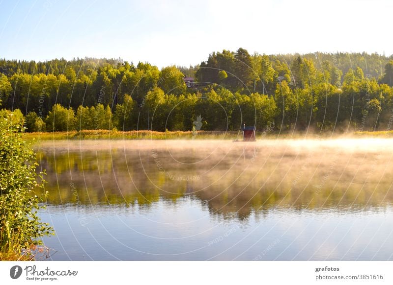 Haus im Morgennebel Nebel Wasser Meer See Sonne Sonnenaufgang Wald Schweden Skandinavien Himmel Natur Sommer Landschaft Farbfoto Tag Freizeit Hobby Fluss