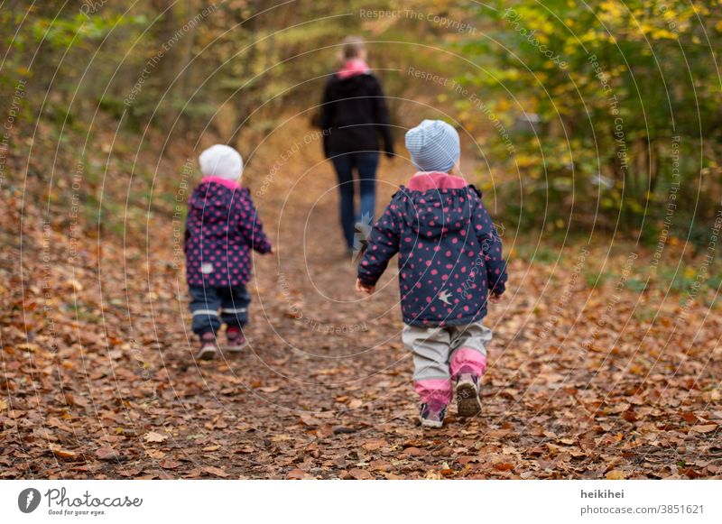 Familienausflug / Waldspaziergang im Herbst herbst familie mutter tochter sohn mama zwillinge kind park wald natur menschen personen leute frau spaß jung liebe