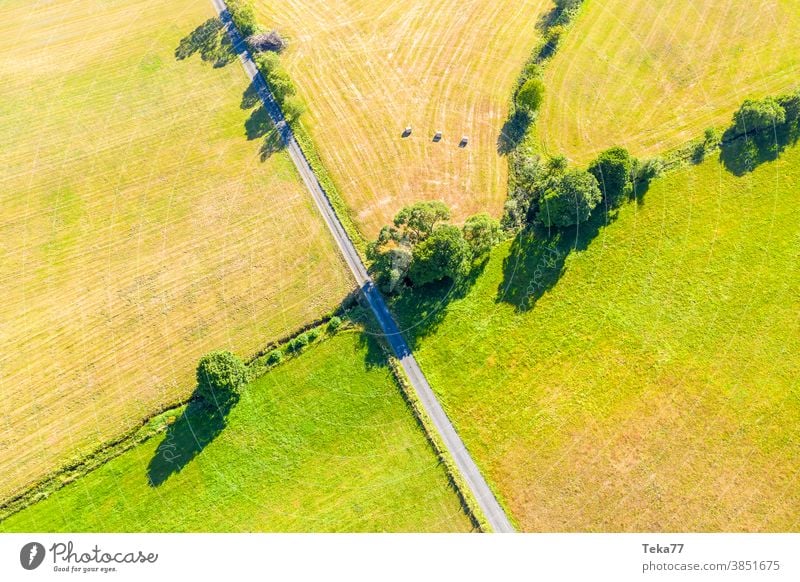 eine kleine Landstraße, die grüne Wiesen teilt Straße in der Natur zwei Wiesen geteilt Trennung von oben grüner Randstreifen Natur von oben Landwirtschaft