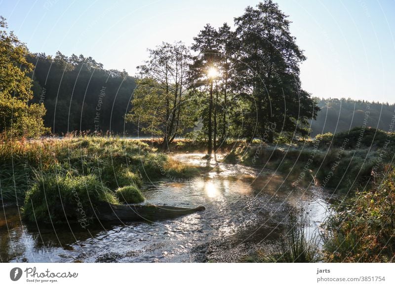 Bachlauf im Sonnenaufgang Landschaft Sonnenaufang Sonnenlicht Bäume Idylle Natur Außenaufnahme Menschenleer Farbfoto Umwelt Schönes Wetter Baum Wasser Tag ruhig