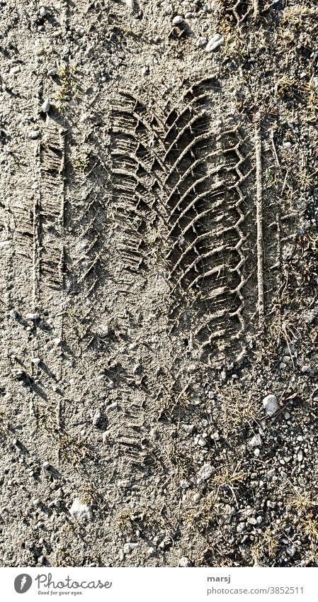 Damals beim Spaziergang, Reifenspuren mit eindeutigem Profil im Dreck Wege & Pfade Frost Herbst überfahren Reifenprofil Gedeckte Farben Farbfoto Außenaufnahme