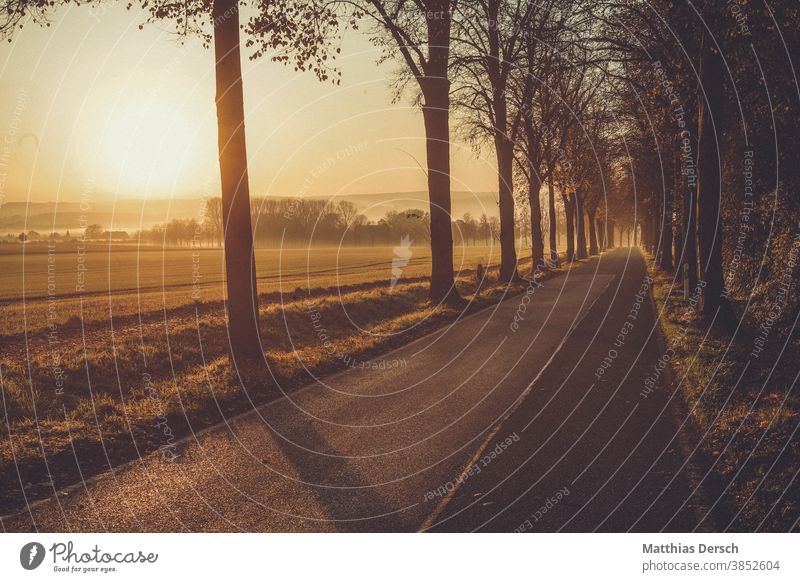 Straße im Morgennebel Nebel Nebelschleier Nebelstimmung Landschaft Landstraße Sonnenaufgang Morgendämmerung