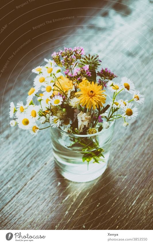 Blümchen im Glas Blumenstrauß Gänseblümchen Wiesenblumen Tisch Blüte Frühling Vase Farbfoto Blühend Dekoration & Verzierung Pflanze Natur Menschenleer Tag