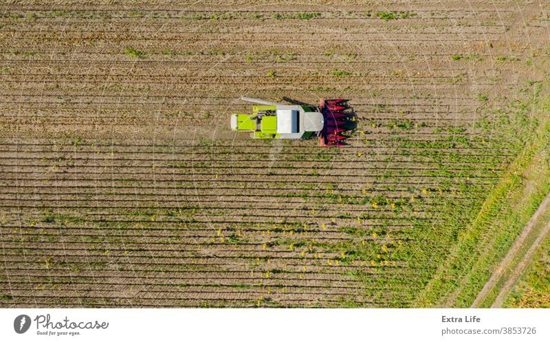 Draufsicht auf Mähdrescher, Erntemaschine, erntereife Sonnenblume oben landwirtschaftlich Ackerbau Agronomie Müsli Land kultiviert Bodenbearbeitung geschnitten