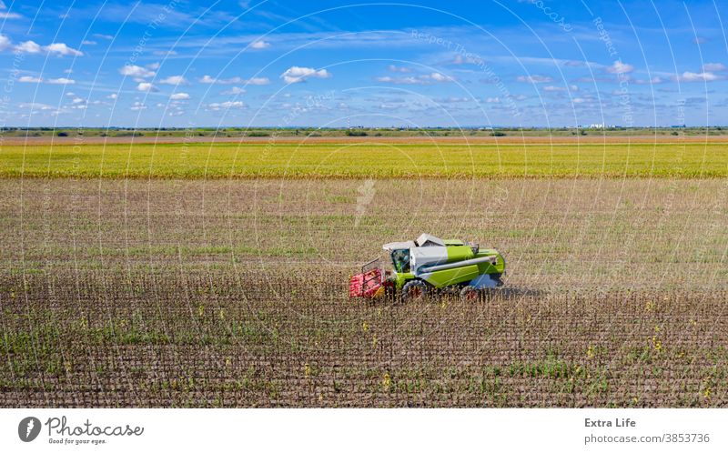 Luftaufnahme von Mähdrescher, Erntemaschine erntet reife Sonnenblume oben Antenne landwirtschaftlich Ackerbau Agronomie Müsli Land kultiviert Bodenbearbeitung