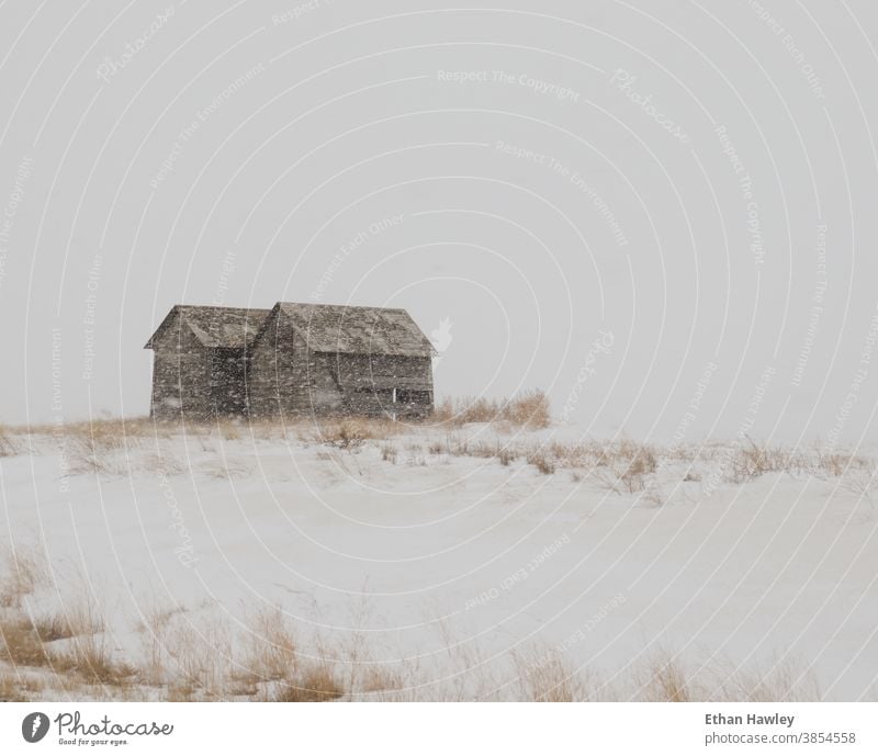 verlassene Scheunen im Schneesturm Verlassen verlassenes Gebäude Menschenleer alt altehrwürdig ländlich Prärie Architektur Ackerland Gutshaus