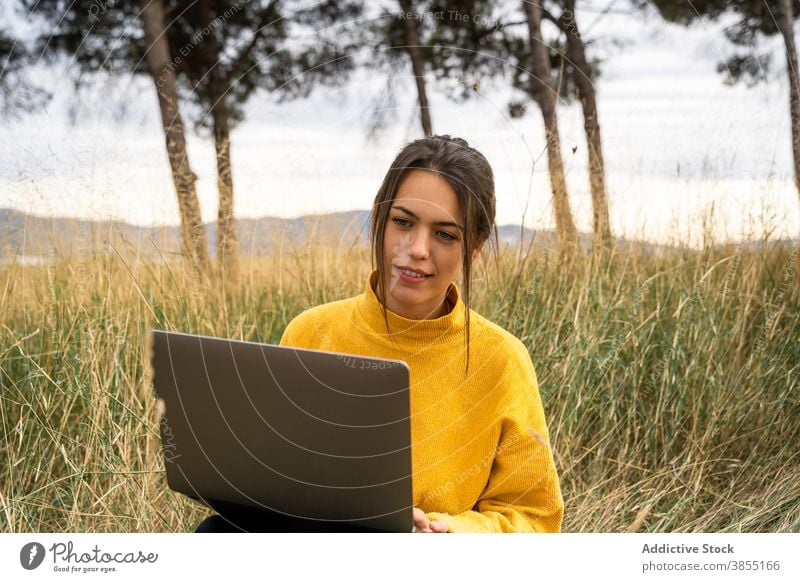 Nachdenkliche Frau arbeitet auf Laptop in Wiese freiberuflich abgelegen Arbeit Feld Landschaft Projekt Herbst Decke Job Internet besinnlich Apparatur Computer