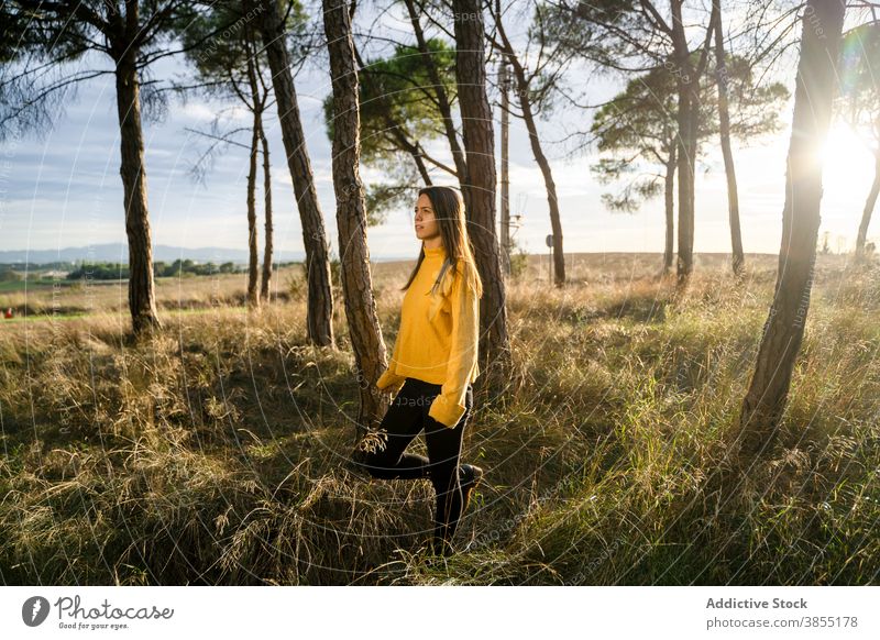 Frau stehend im Feld bei Sonnenuntergang sorgenfrei Freiheit genießen Lächeln Landschaft Outfit lässig Wiese ländlich Gegend aktiv Glück Herbst fallen Saison