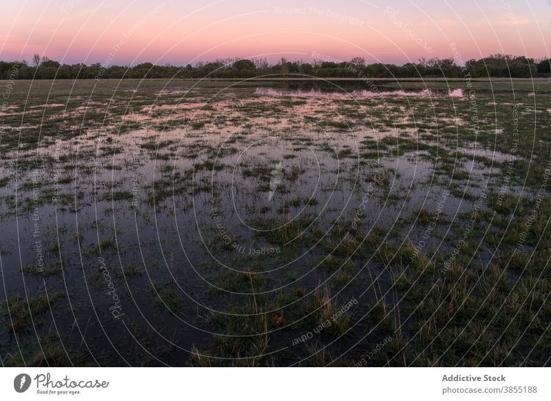 Seelandschaft in Eichenwald bei Sonnenuntergang mit den Bäumen auf dem Wasser reflektiert. Seen Lagune Lagunen wild im Freien Abenteuer Natur natürlich reisen