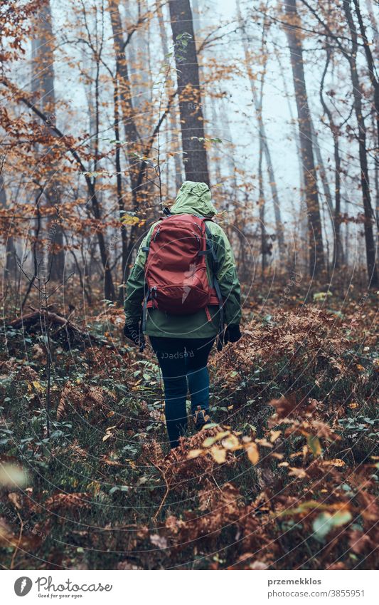 Frau mit Rucksack wandert an einem herbstlich kalten Tag durch den Wald aktiv Aktivität Abenteuer Herbst Backpacker Ausflugsziel genießen Erkundung erkunden