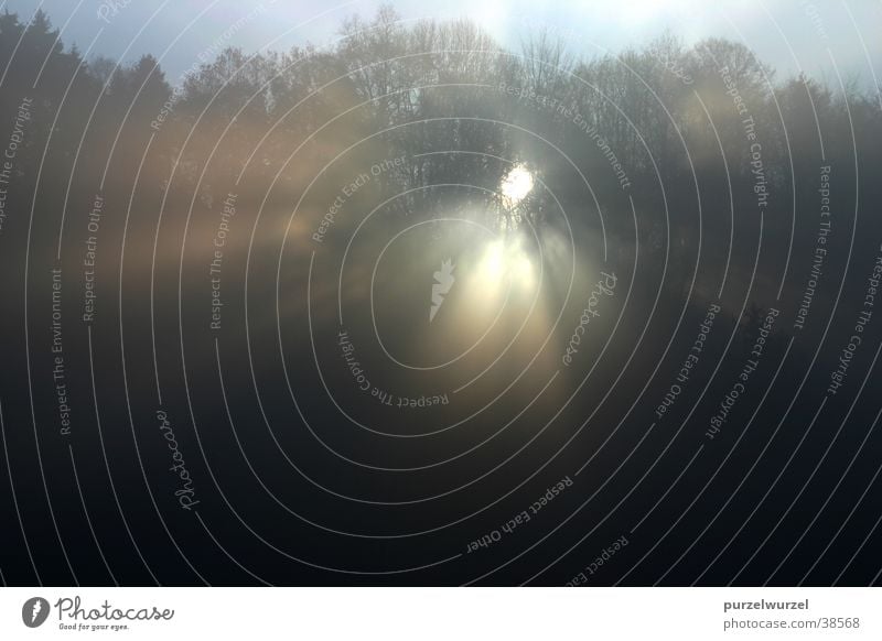 Sonnenkraft Sonnenstrahlen Nebel Wald Durchbruch Berge u. Gebirge Morgen Arbeitszimmerausblick