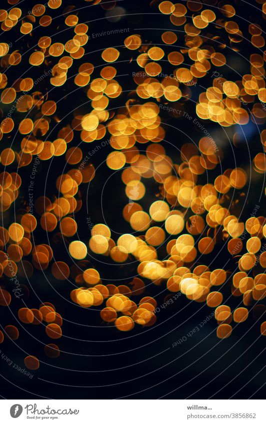 Festliches Lichtergefunkel Bokeh Unschärfe Weihnachten leuchten funkeln weihnachtlich Weihnachten & Advent festlich gold Weihnachtsbaum Weihnachtsbeleuchtung