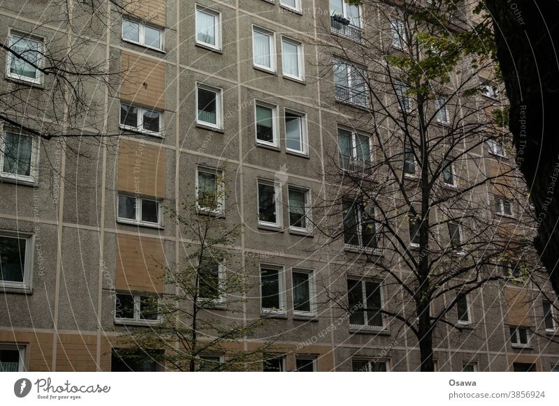 Wohnhaus in Großtafelbauweise Gebäude Haus Bauwerk Mietshaus Plattenbau Plattenbauweise Fassade grau Beton Fenster Architektur DDR Bäume Silhouette Schwarz