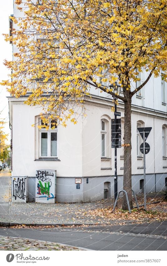 dreiseitenhaus. Haus Baum Laubbaum Blätter Hauswand Fenster Herbst Kurve Straße Tag Menschenleer Fassade Stadt Architektur Bauwerk Gebäude