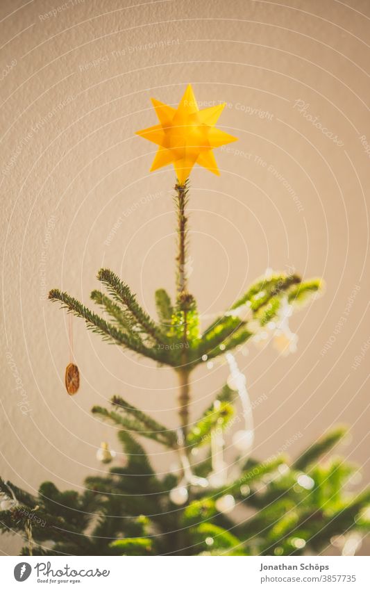 weihnachtsbaumspitze mit gelbem Stern Weihnachten Tanne heimwärts x-mas Lichterkette Weihnachtsdekoration Weihnachtsstern Weihnachtsbaum Wohnzimmer Baum Wand