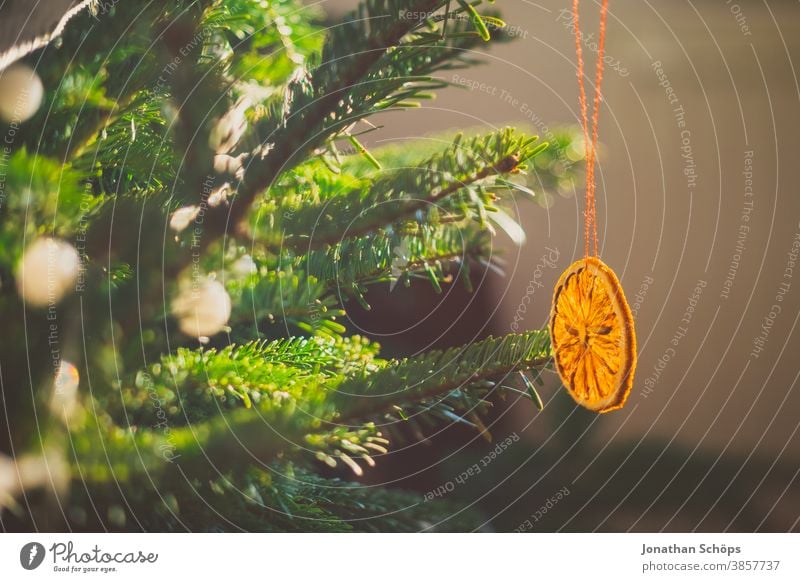 getrocknete Orange am Weihnachtsbaum hängend Weihnachten Tanne heimwärts x-mas Lichterkette Weihnachtsdekoration Weihnachtsorange Wohnzimmer Baum Wand