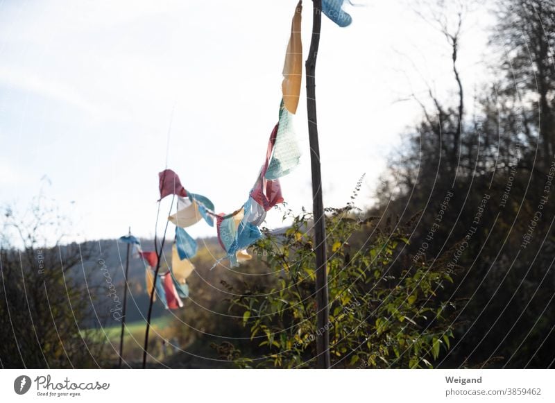 Gebetsfahnen spirituell Schrebergarten Fahnenmast bunt Multikulti multikulturell Verschiedenheit