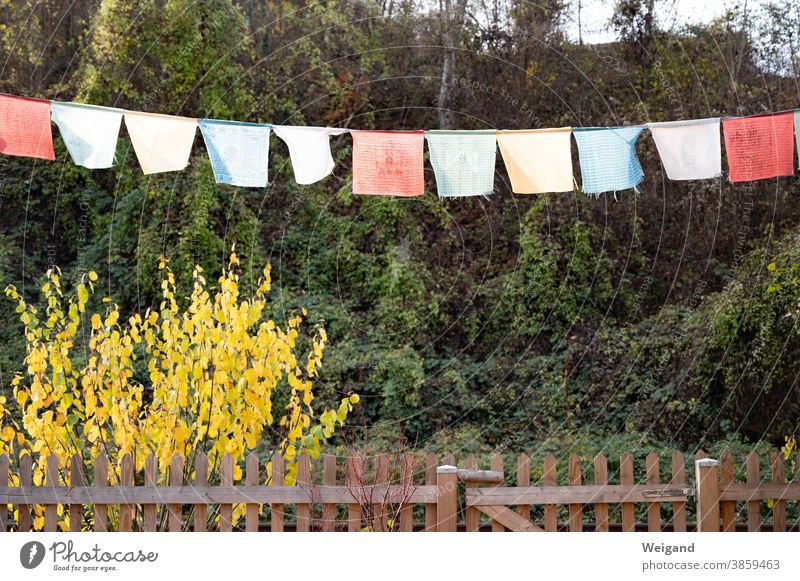 Gebetsflaggen im Schrebergarten spießig Fahnen bunt beten Zaun kleinbürgerlich Garten Grenze Natur Kleingartenkolonie Grundstück Außenaufnahme grün Nachbar