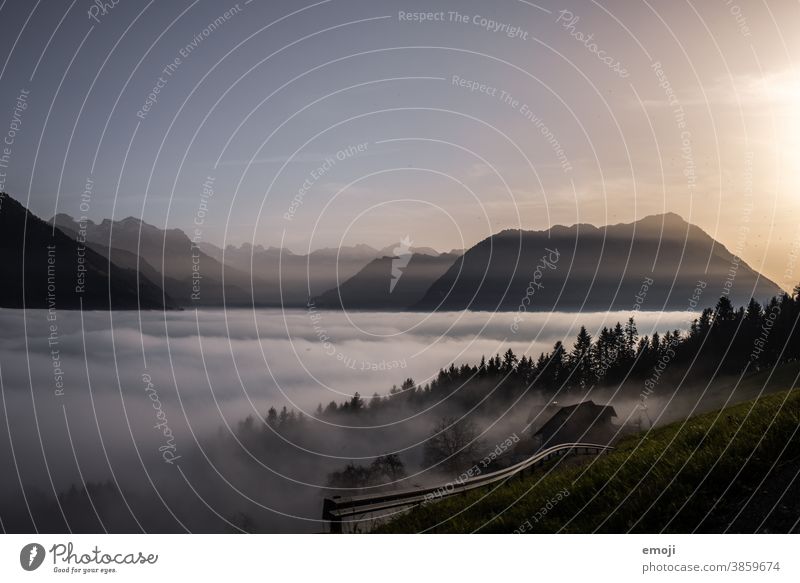 Nebel im Sonnenuntergang nebel sonnenuntergang schweiz alpen Berge u. Gebirge Bürgenstock Stimmung mystisch Herbst Himmel Schweiz Sonnenlicht Abendstimmung