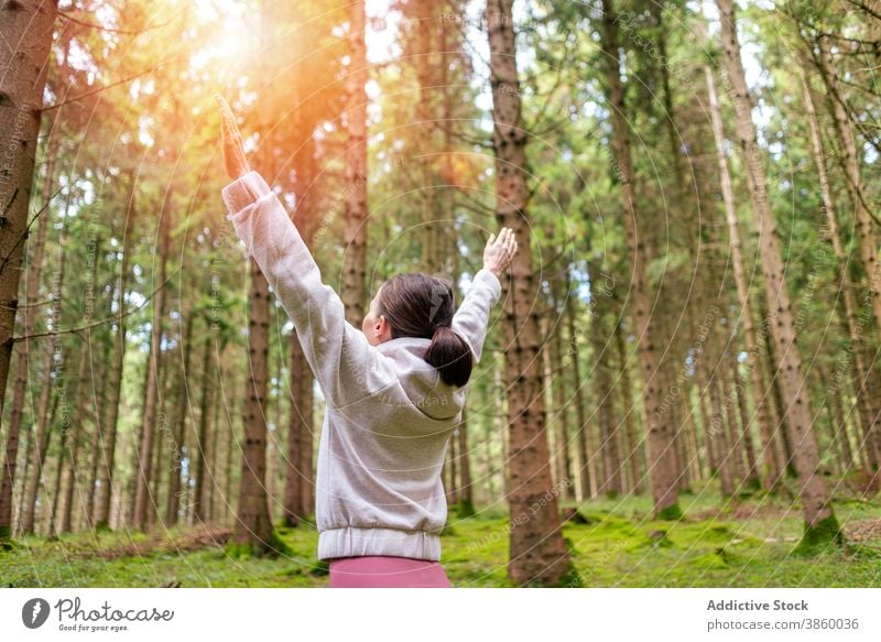 Ruhige Frau genießt den Morgen im Wald genießen Freiheit Reisender erkunden ruhig Fernweh Abenteuer Wälder früh Sonnenlicht Sonnenaufgang Morgendämmerung Natur