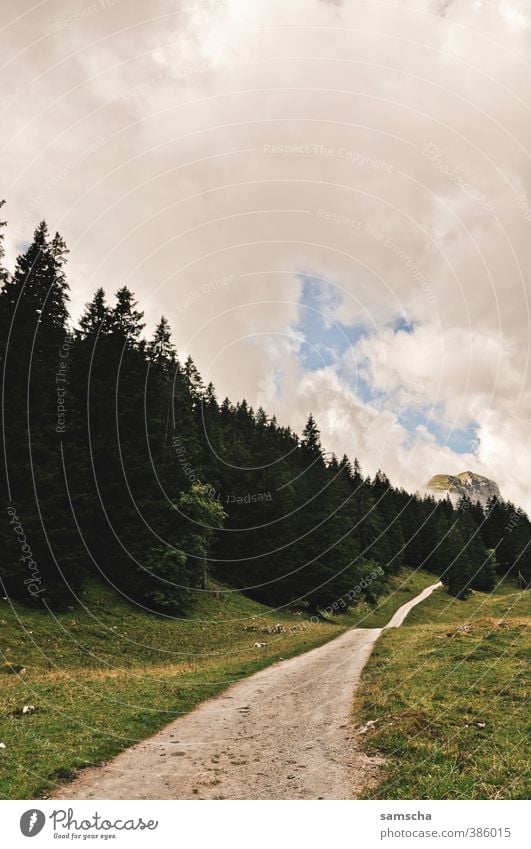 unterwegs Ferien & Urlaub & Reisen Ausflug wandern Umwelt Natur Landschaft Wolken Baum Wald Hügel Alpen Berge u. Gebirge gehen natürlich wild Freiheit Alpstein