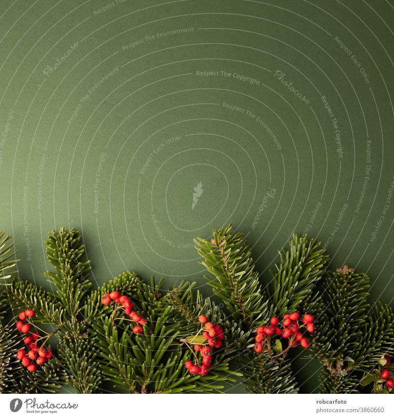 weihnachtlicher Hintergrund mit roten Beeren der Pyracantha coccinea-Pflanze Rahmen Weihnachten Borte Feiertag Winter festlich Postkarte Saison fröhlich Schnee