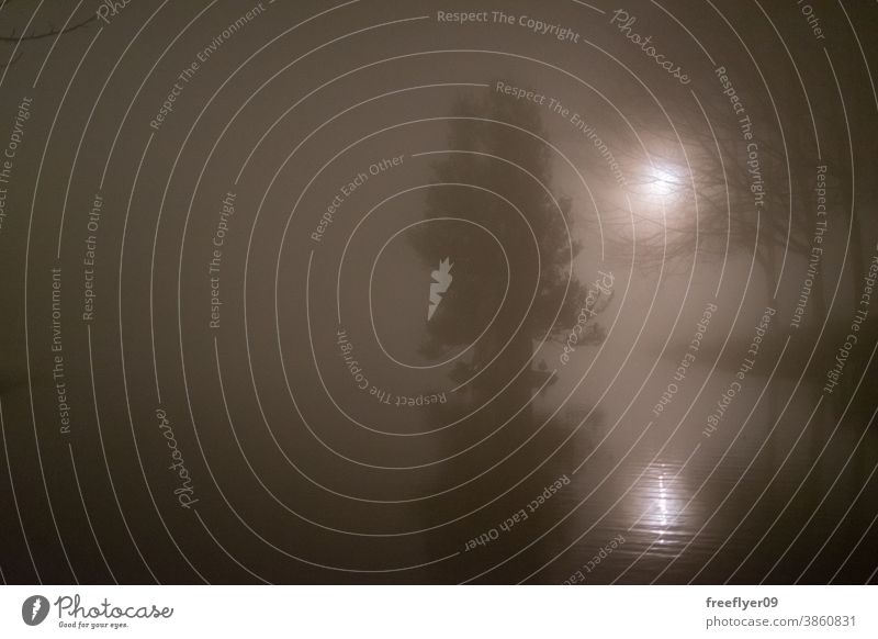 Mysteriöse Landschaft mit Mond, Bäumen und Wasser Nebel Smog Mysterium geheimnisvoll Baum Winter beängstigend spukhaft feucht nass Schwüle Galicia Klima Nacht