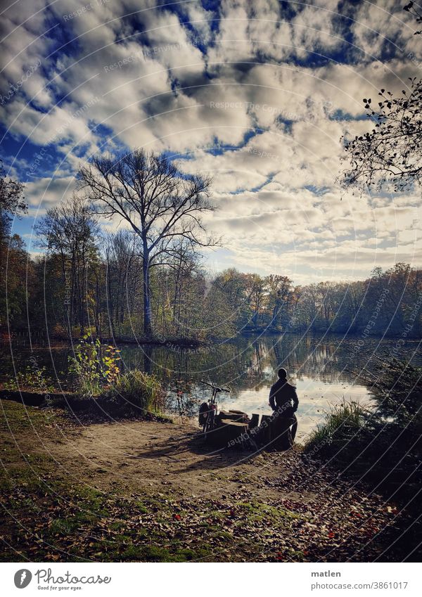 Versonnener Seeblick Herbst Landschaft Außenaufnahme Himmel Reflexion & Spiegelung Seeufer ruhig Idylle Schönes Wetter Baum Rast Fahrradfahrer Schatten