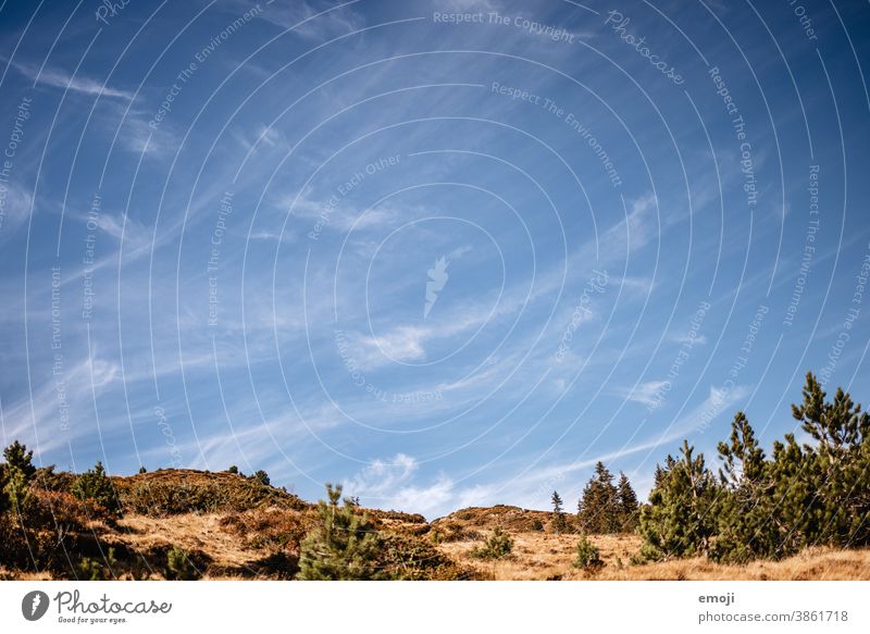 Cirrus Wolken blauer Himmel Zirruswolken Blauer Himmel Schönes Wetter Herbst Wandertag Natur Meteorologie Phänomen