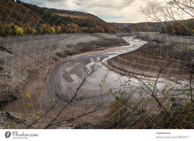 Entleerte Urfttalsperre im November Landschaft Natur Talsperre See Stausee niedriger Wasserstand Fluß Lehm Steine wald laub herbstlich Herbst Himmel Wolken Brun