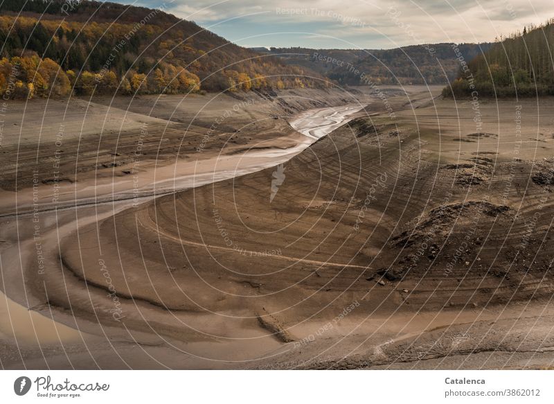 Die trocken gefallene Urfttalsperre herbstlich Wolken Himmel Herbst laub wald Steine Lehm leer Fluß niedriger Wasserstand Stausee Landschaft Natur Talsperre See