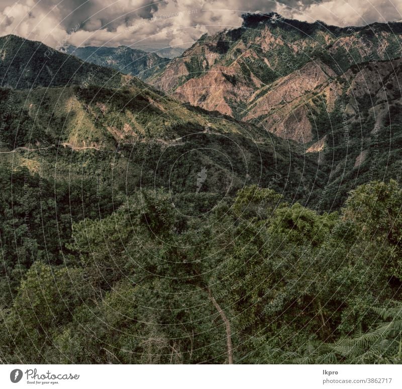 Terrassenfeld für den Reisanbau Banane Philippinen Berge u. Gebirge Natur ifugao Asien Feld Landschaft reisen Ackerbau Tal schwarz Bauernhof Vietnam