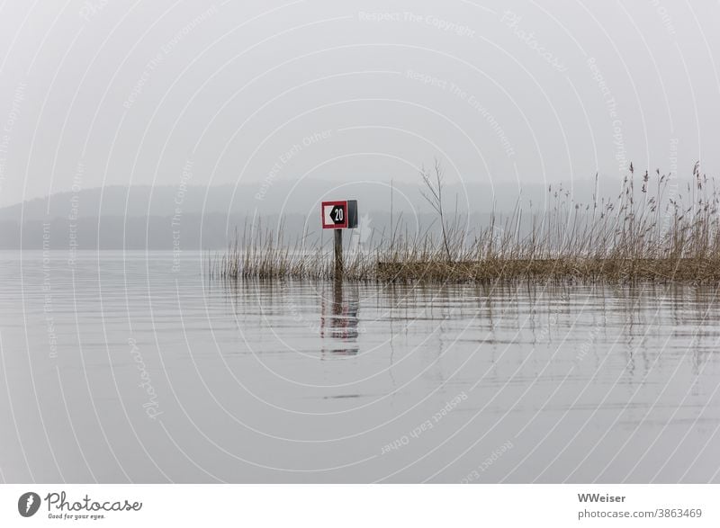 Zeitlose Stille am See, ein grauer Tag ohne Schiffsverkehr Nebel Wasserverkehrszeichen Schilf struppig still ruhig verlassen trüb traurig meditativ entspannt