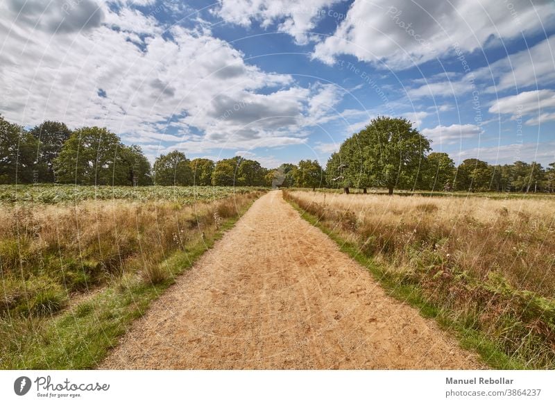 Fotografie der Straße auf dem Feld mit Himmel Landschaft ländlich Sommer Natur Wiese Horizont Gras grün blau Sonnenlicht Pflanze Frühling Hintergrund Ackerbau