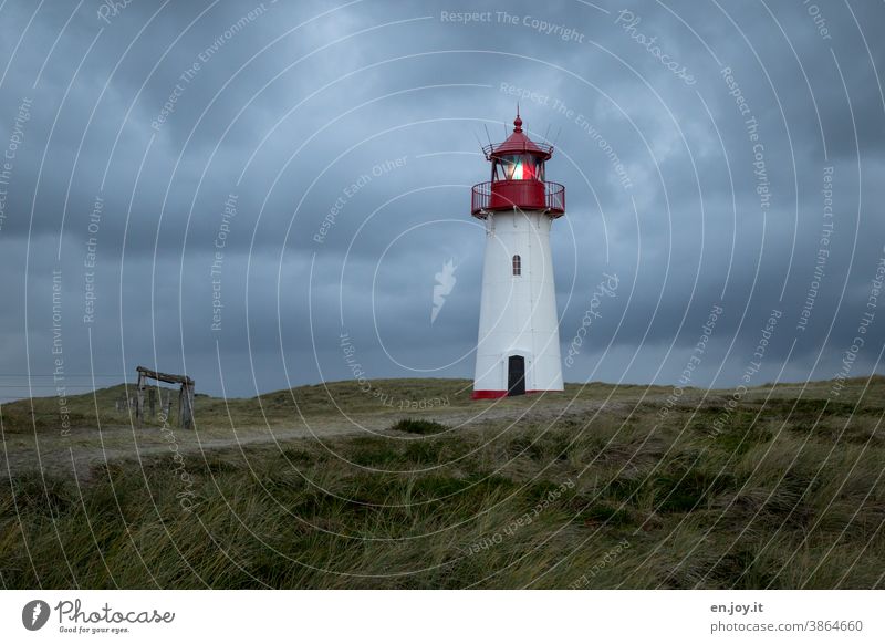 Leuchtturm in den Dünen Dünengras leuchten Licht blaue Stunde Abend Sicherheit Schutz Sylt Ellenbogen Gras Wolken Himmel Urlaub Reise Küste Nordsee