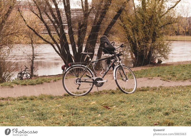 Fahrräder an der Elbufer in Dresden Fahrrad Fahrradfahren Kindersitz Verkehr Außenaufnahme Wege & Pfade Straßenverkehr Freizeit & Hobby Bewegung Fahrradweg