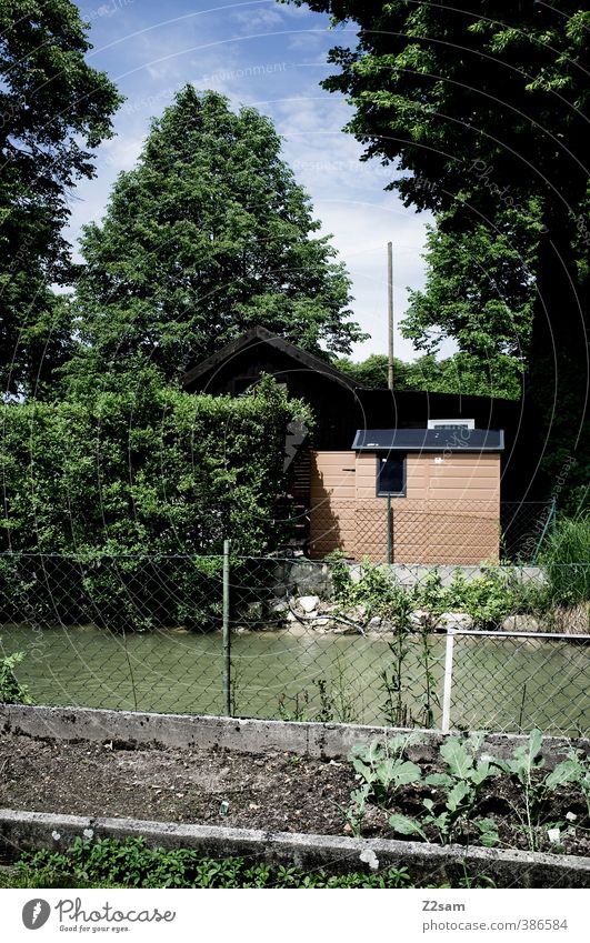 Kleingartenidyll am Bacherl Sommer Schönes Wetter Baum Sträucher Flussufer Hütte Kleingartenkolonie ruhig nachhaltig Natur Ordnung Umwelt Gemüsebeet