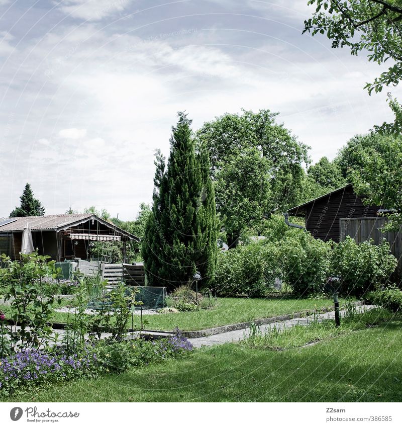 schrebergarten Ferien & Urlaub & Reisen Sommer Häusliches Leben Garten Natur Himmel Wolken Schönes Wetter Baum Gras Sträucher Wiese nachhaltig natürlich grün