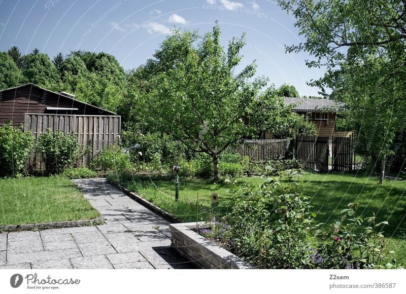 schrebergarten ruhig Sommer Häusliches Leben Garten Natur Himmel Schönes Wetter Baum Blume Gras Sträucher Wiese Dorf Kleinstadt Haus Hütte nachhaltig natürlich