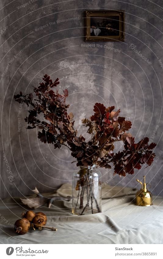 Blumenstrauß aus getrockneten Blumen in einer Glasvase. braun heimwärts Frau Vase Natur schön Schönheit Pflanze grün Blütenblatt Farbe Tisch altehrwürdig